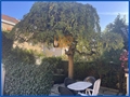 Photo numero 48350235 du bien UBI481448312